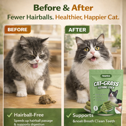 Cats’ Favorite Grass Teething Stick
